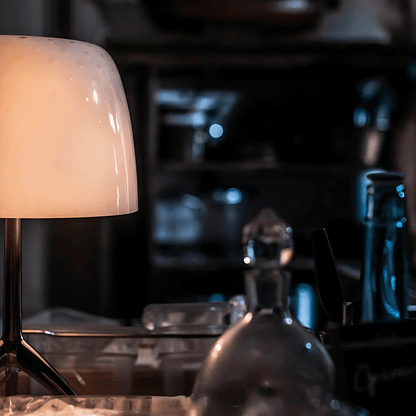 ZENITH LAMP - techynook